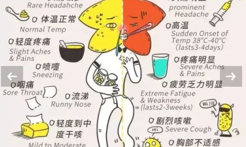 单吃氯沙坦钾片降压效果好吗-单独服用氯沙坦钾片效果不好网—知名的单独服用氯沙坦钾片效果不好怎么办网站,分享单独服用氯沙坦钾片效果不好怎么办知识
